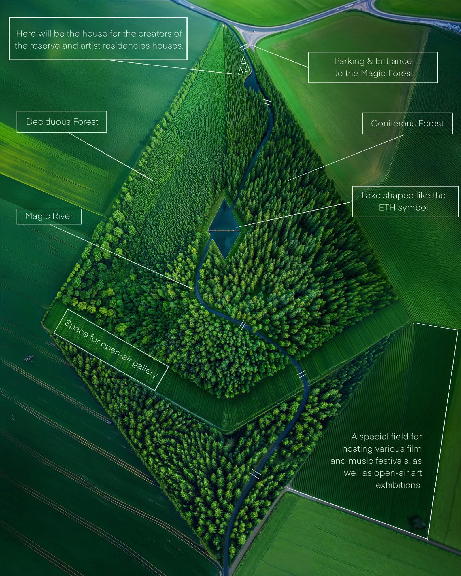 Ethereum Forest Top View